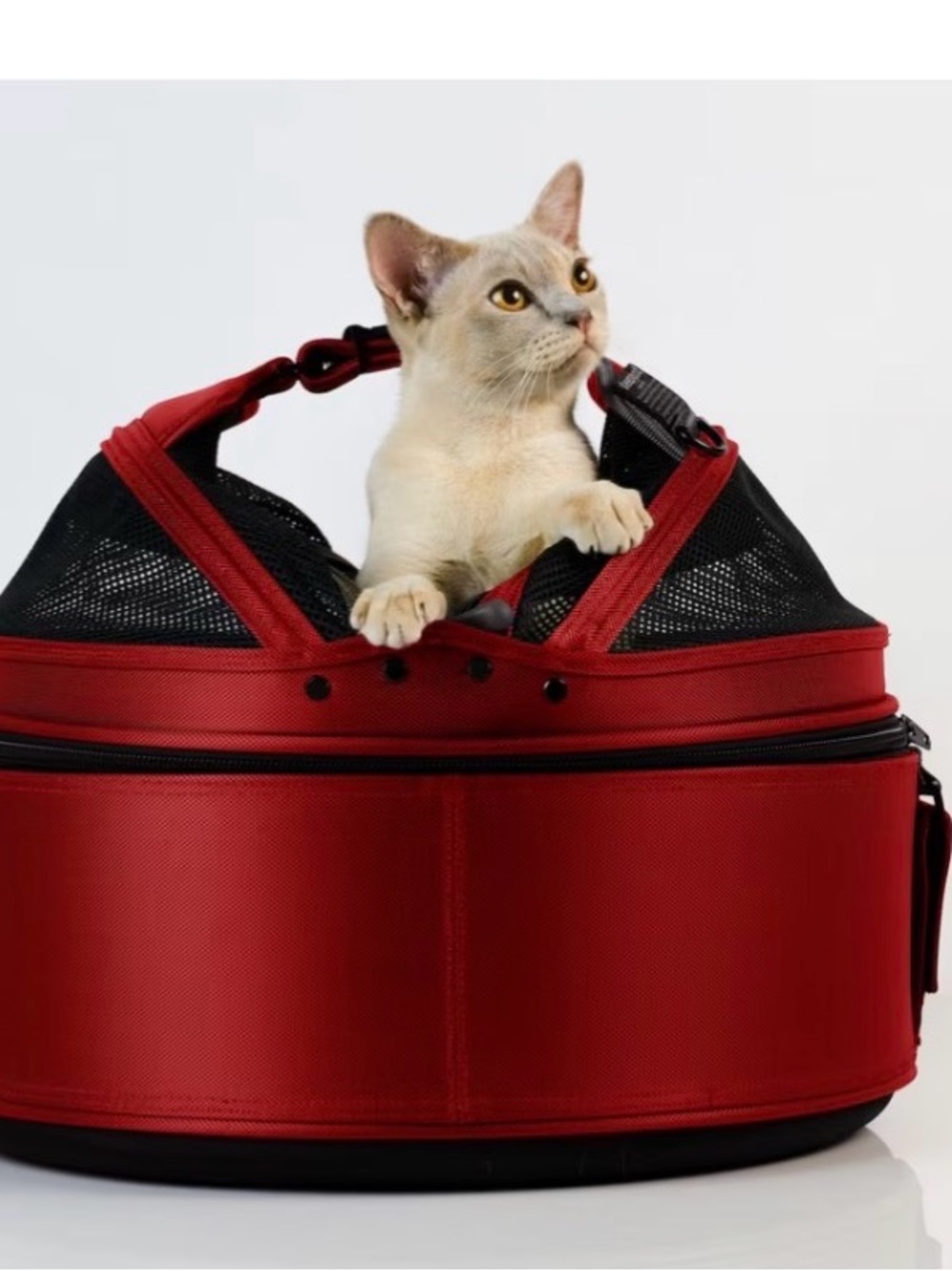 Blossom Pink Soft-Sided Cat Travel Carrier with Mesh Ventilation